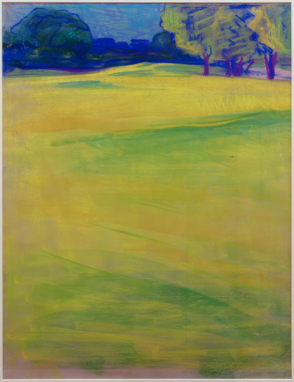 Wiesenlandschaft vor Bäumen und Dorf tekijältä Curt Herrmann