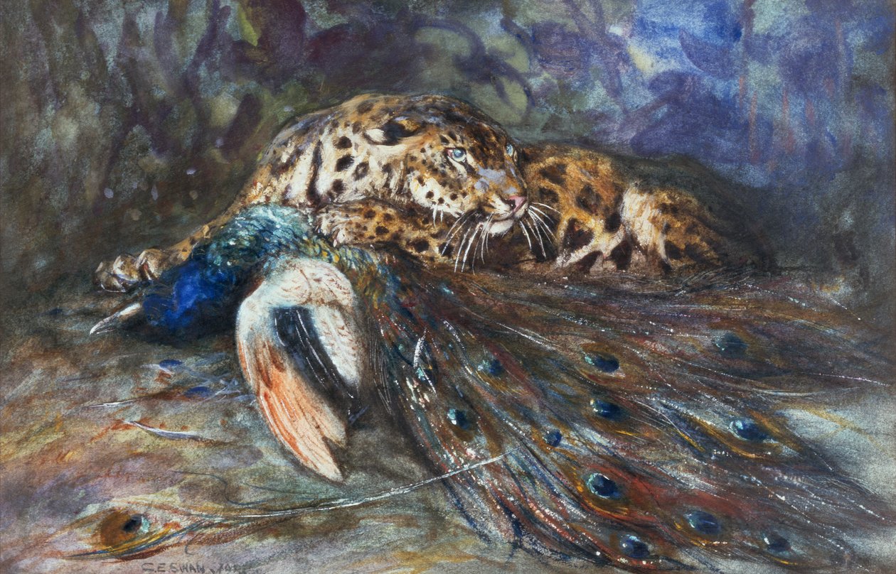 Jaguar amb Peacockfinnish tekijältä Cuthbert Edmund Swan