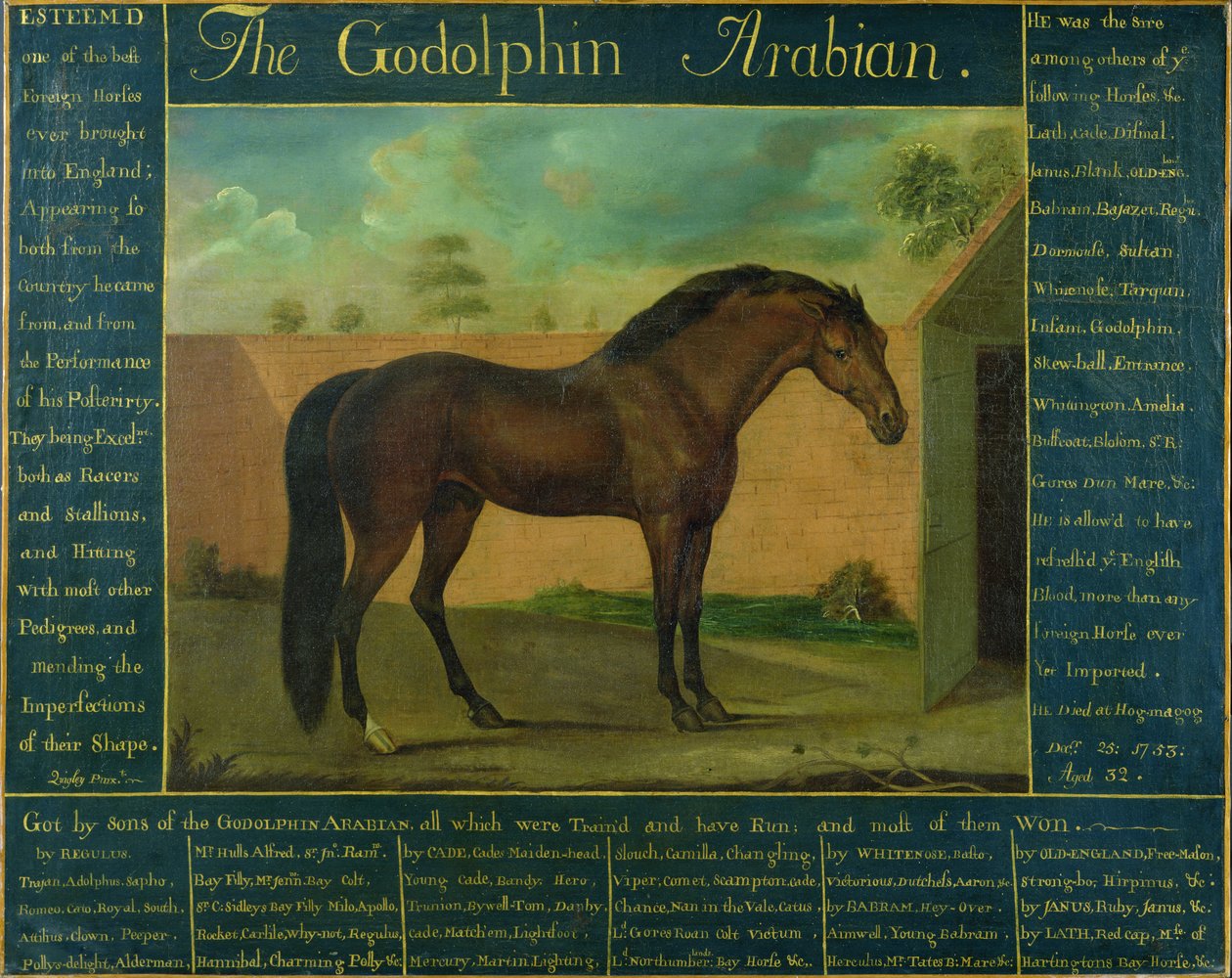 Arabialainen Godolfiini tekijältä D. Quigley