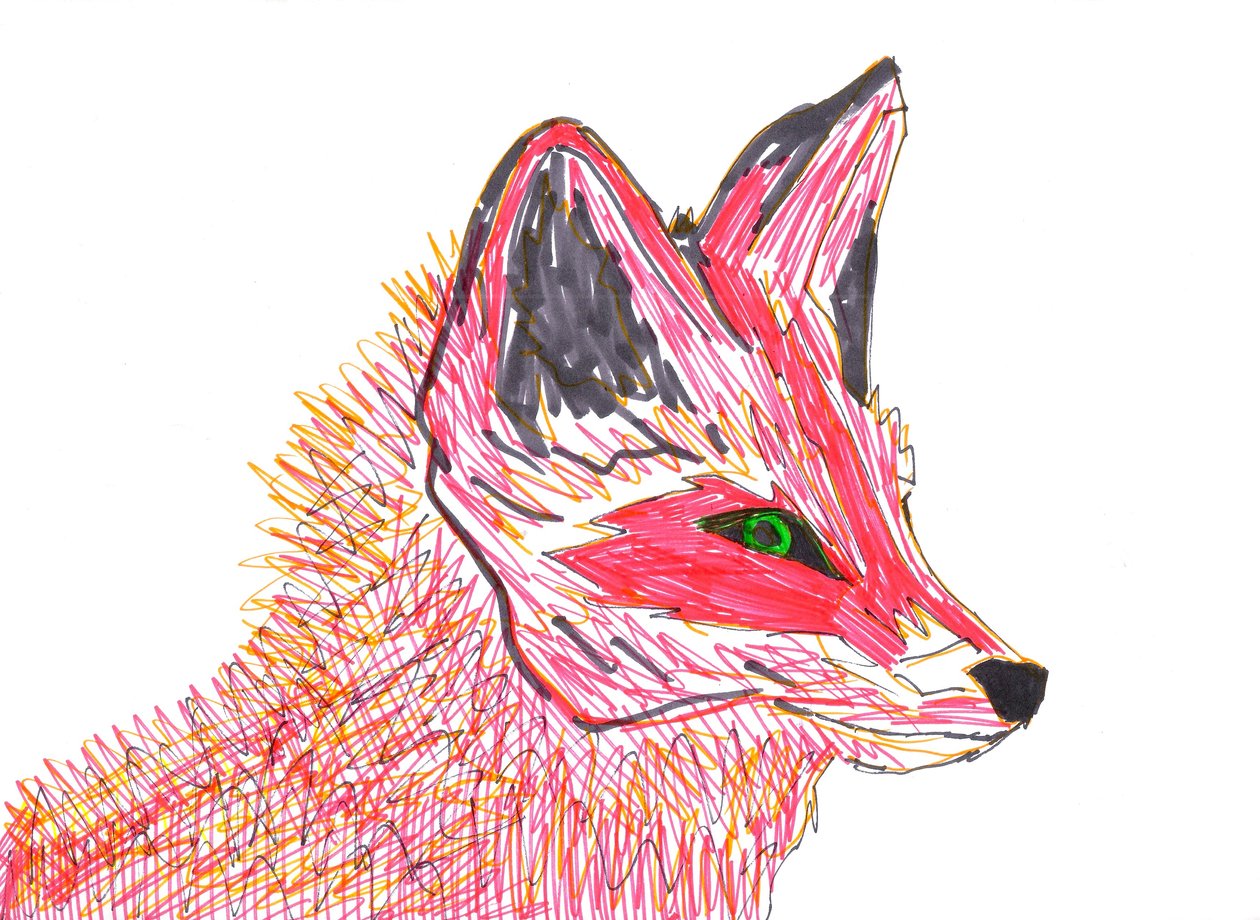 Kettu (huopakärki paperille) tekijältä Daisy de Villeneuve