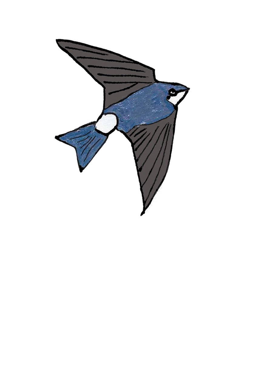 House Martin tekijältä Daisy de Villeneuve