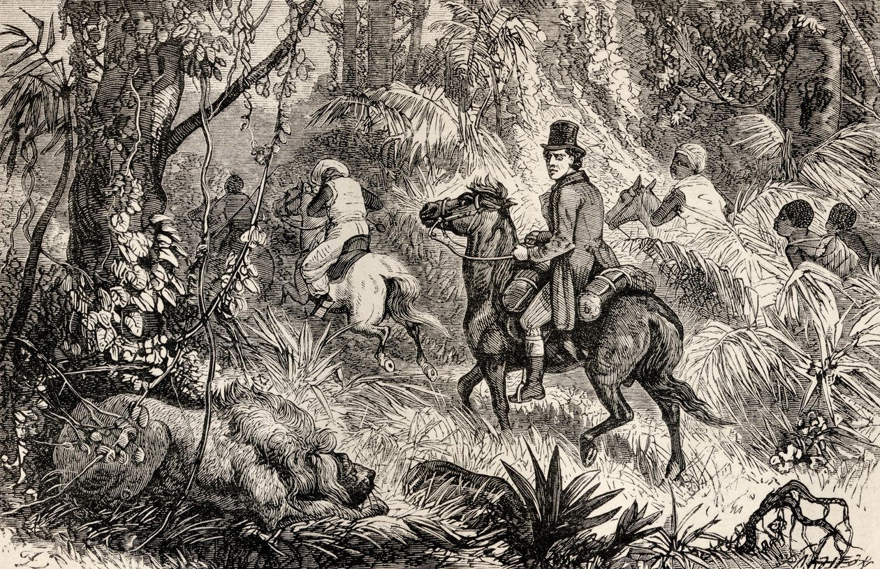 Mungo Park kohtaa leijonan matkalla Modiboon kylään, 1825 tekijältä Dalziel Brothers