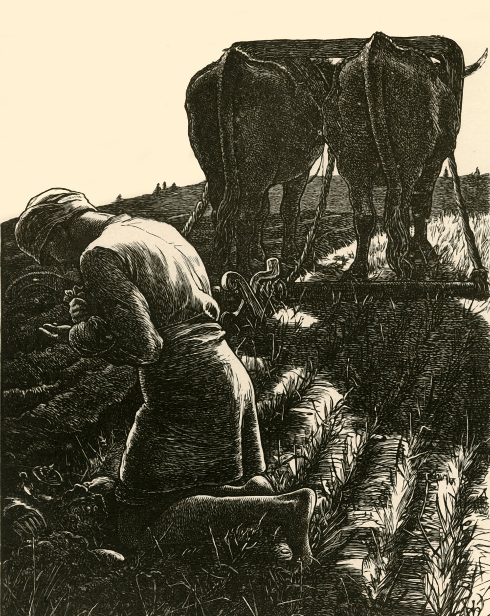 Piilotettu aarre, 1864, 1928. tekijältä Dalziel Brothers