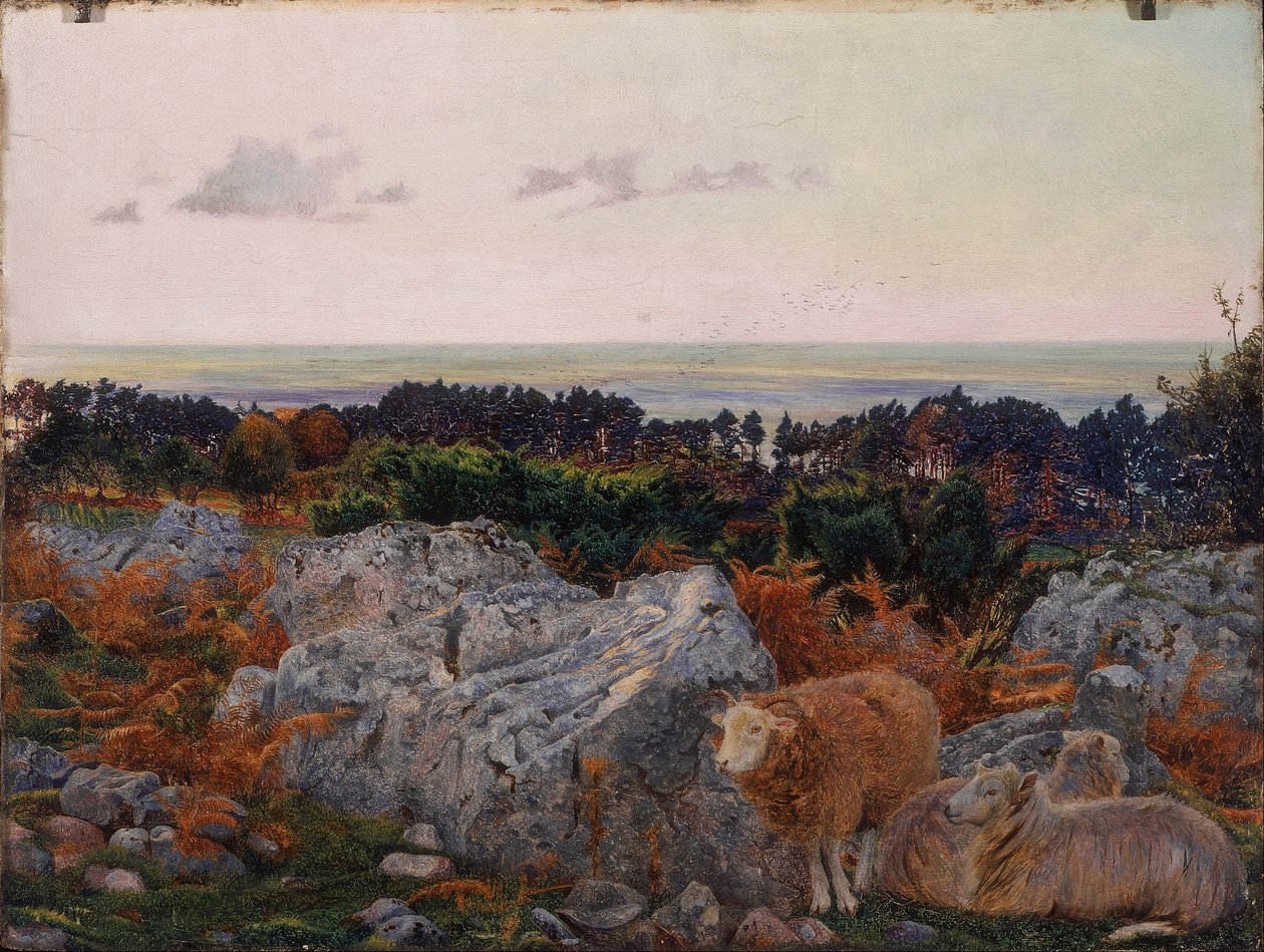 Morecambe Bay Warton Cragilta tekijältä Daniel Alexander Williamson