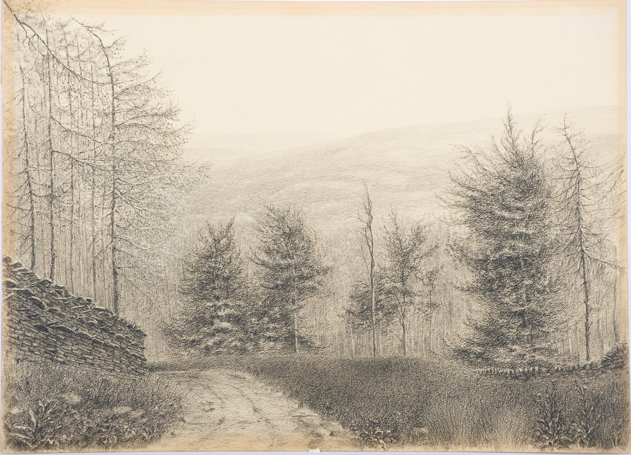 Egglestone Bridge, Teesdale, n.1916 (mustalla väriliidulla kortille). tekijältä Daniel Oliver