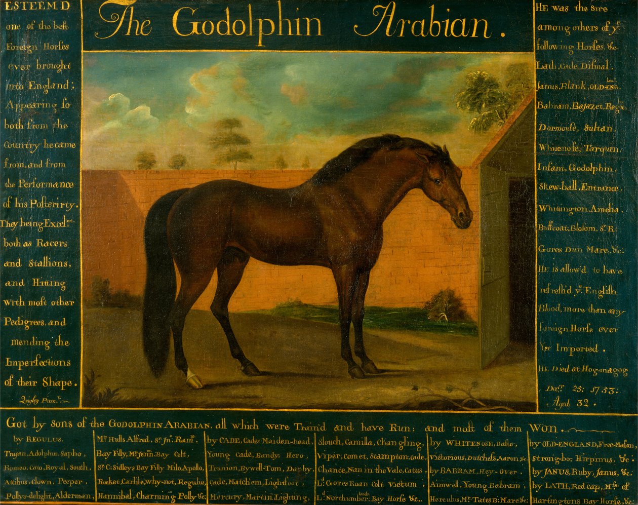 Godolphin arabialainen tekijältä Daniel Quigley