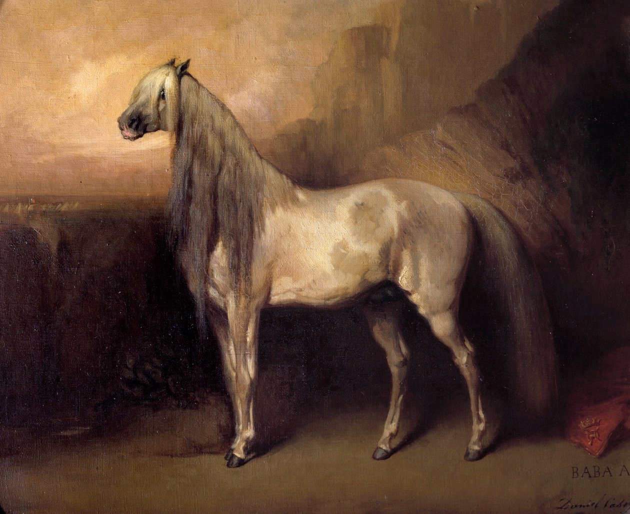 Baba Ali, Arabihevonen kenraali Henri d