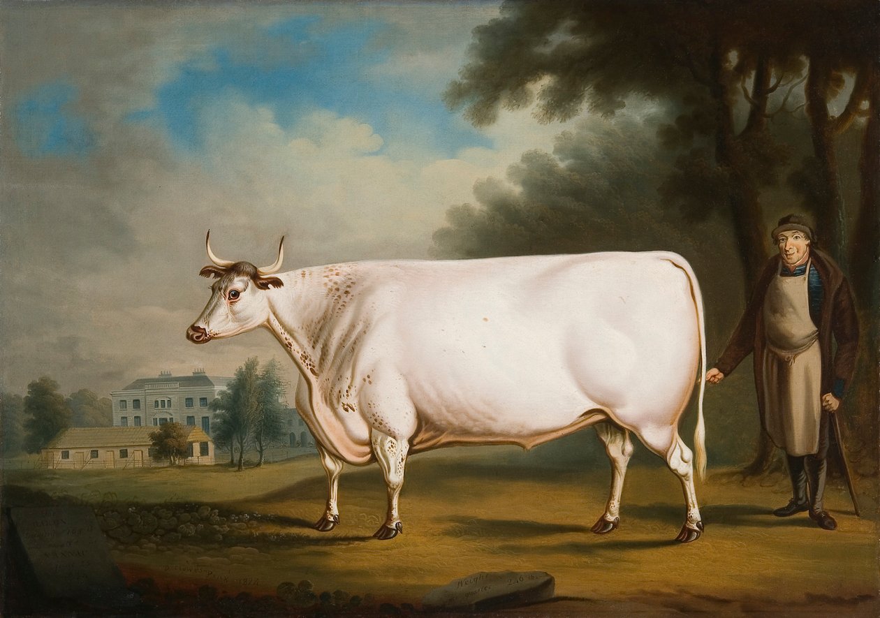 "Nannau Ox", 1824 tekijältä Daniel Clowes