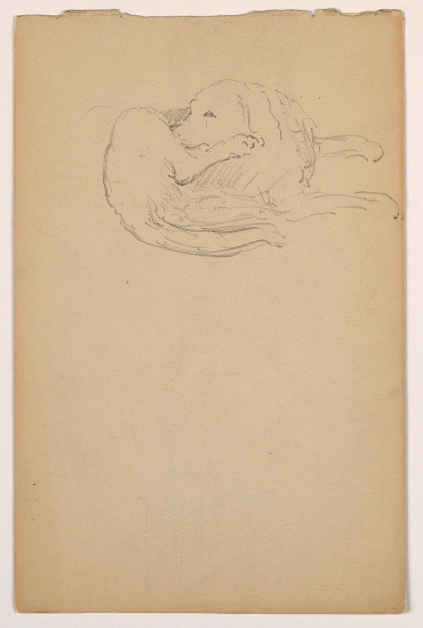 Piirros, Dash (setteri), n. 1862. tekijältä Daniel Huntington