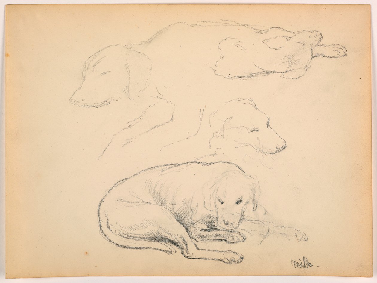 Piirros, Milo (kyttä), useita opintoja, n. 1862 tekijältä Daniel Huntington