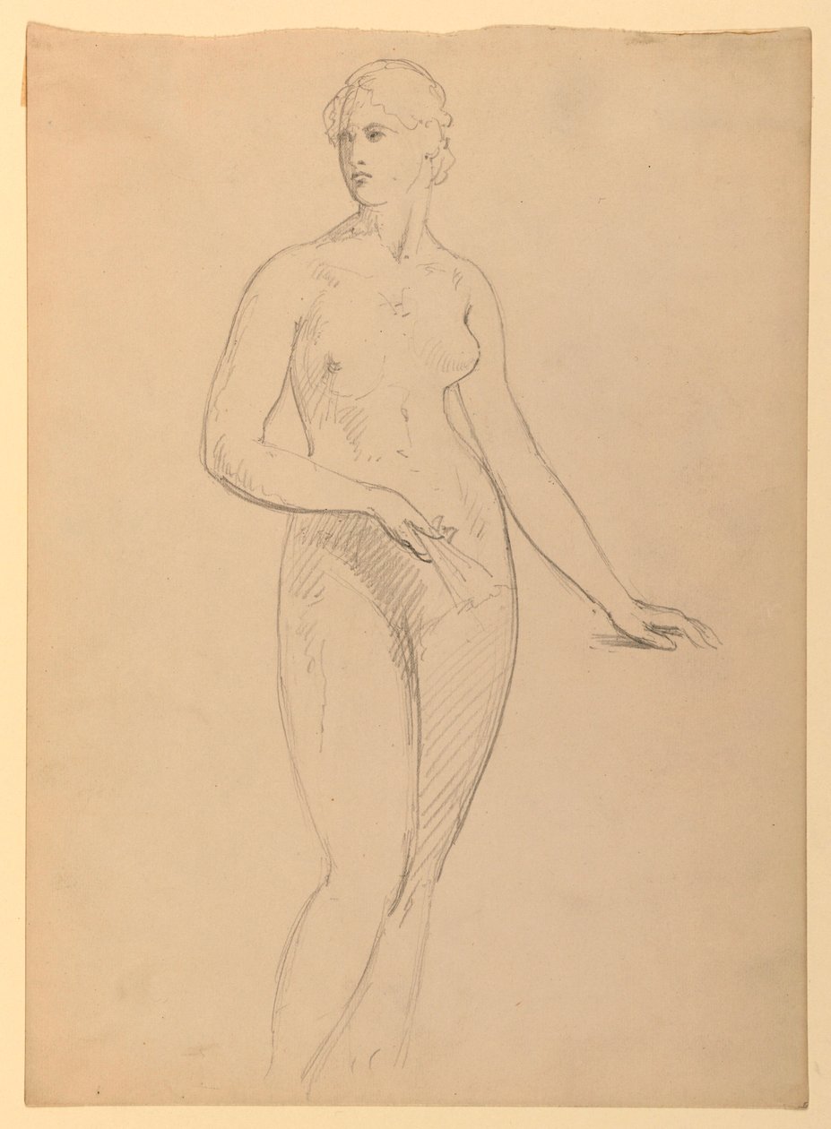 Piirustus, rouva Henry Schieffelin, S, 1881 tekijältä Daniel Huntington