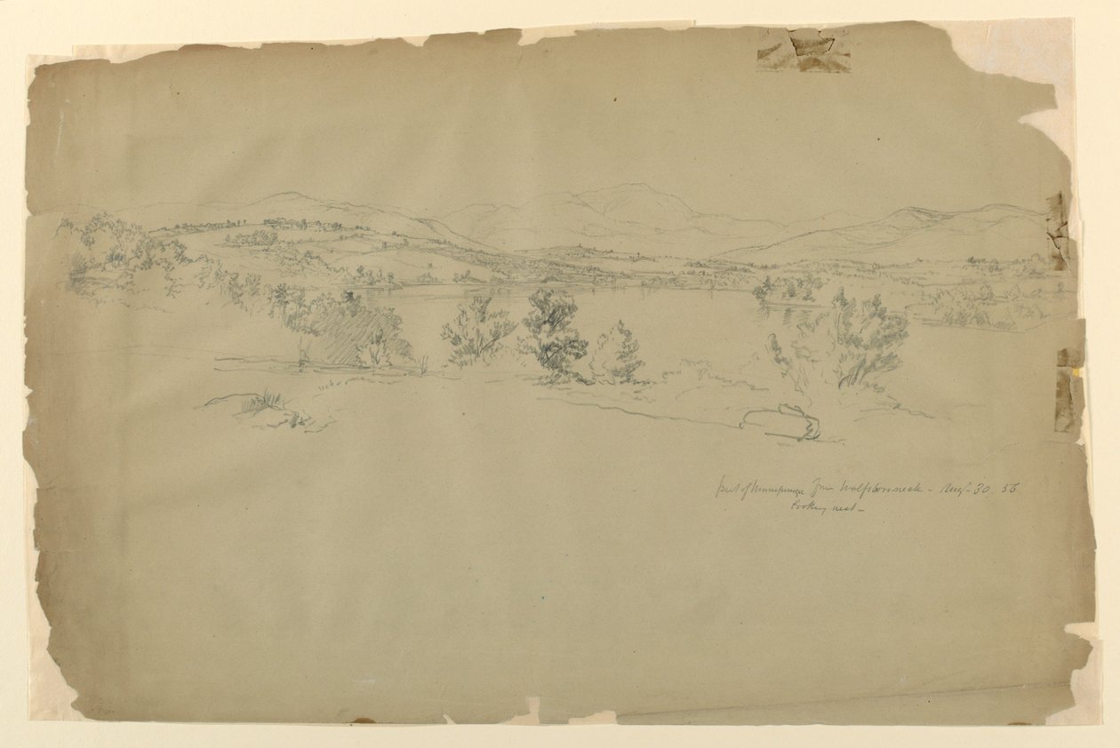 Lake Winnipesaukee Wolfeboro Neckistä, Looking West tekijältä Daniel Huntington