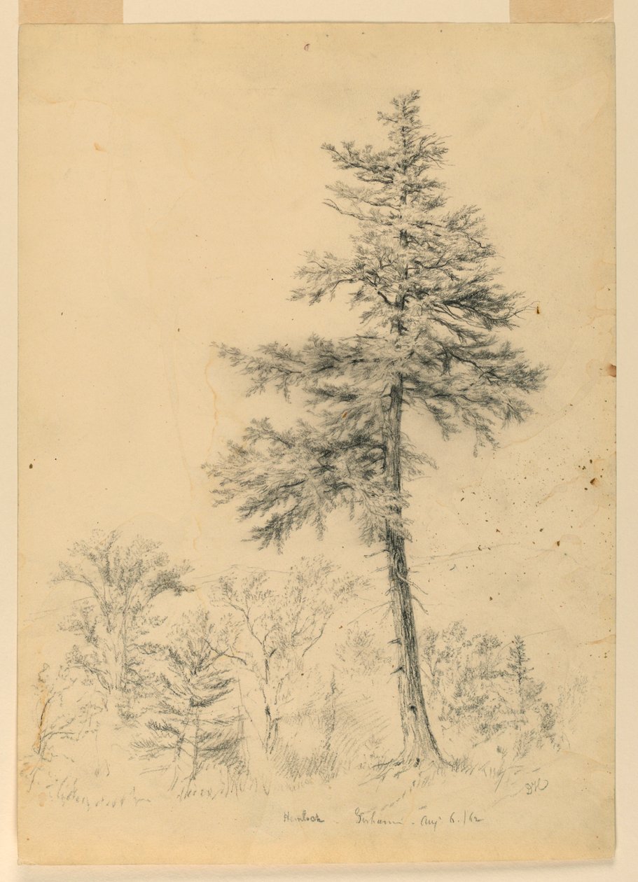 Hemlockin tutkimus, Gorham, New Hampshire tekijältä Daniel Huntington