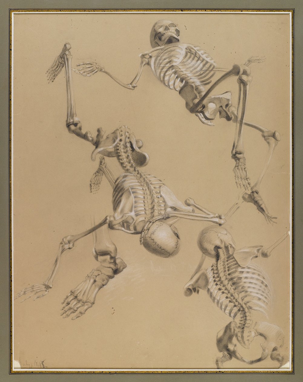 Tutkimus luurangoista, 1848 (liitu paperille) tekijältä Daniel Huntington
