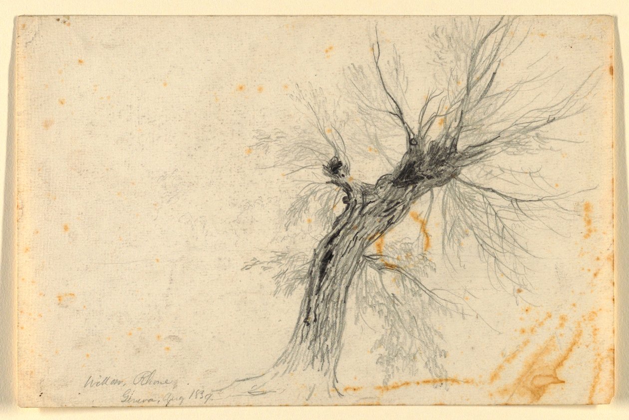 Willow Rhônen varrella, Geneve, Sveitsi tekijältä Daniel Huntington