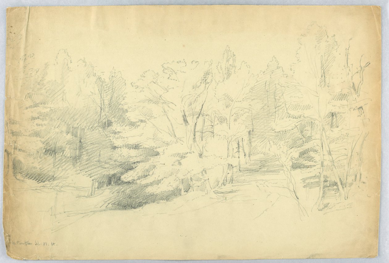 Metsäinen kohtaus - West Campton, New Hampshire tekijältä Daniel Huntington