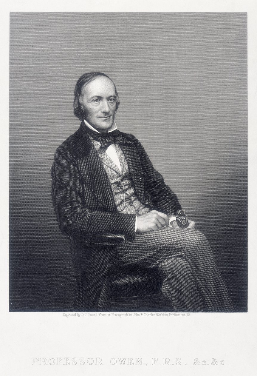 Sir Richard Owen, englantilainen eläintieteilijä, 1860. tekijältä Daniel John Pound