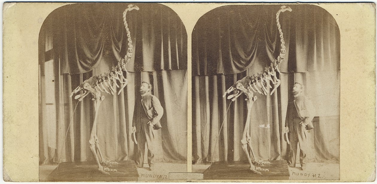 Julius von Haast ja Moa, Canterburyn museo, n. 1867 (albumiprintti) tekijältä Daniel Louis Mundy
