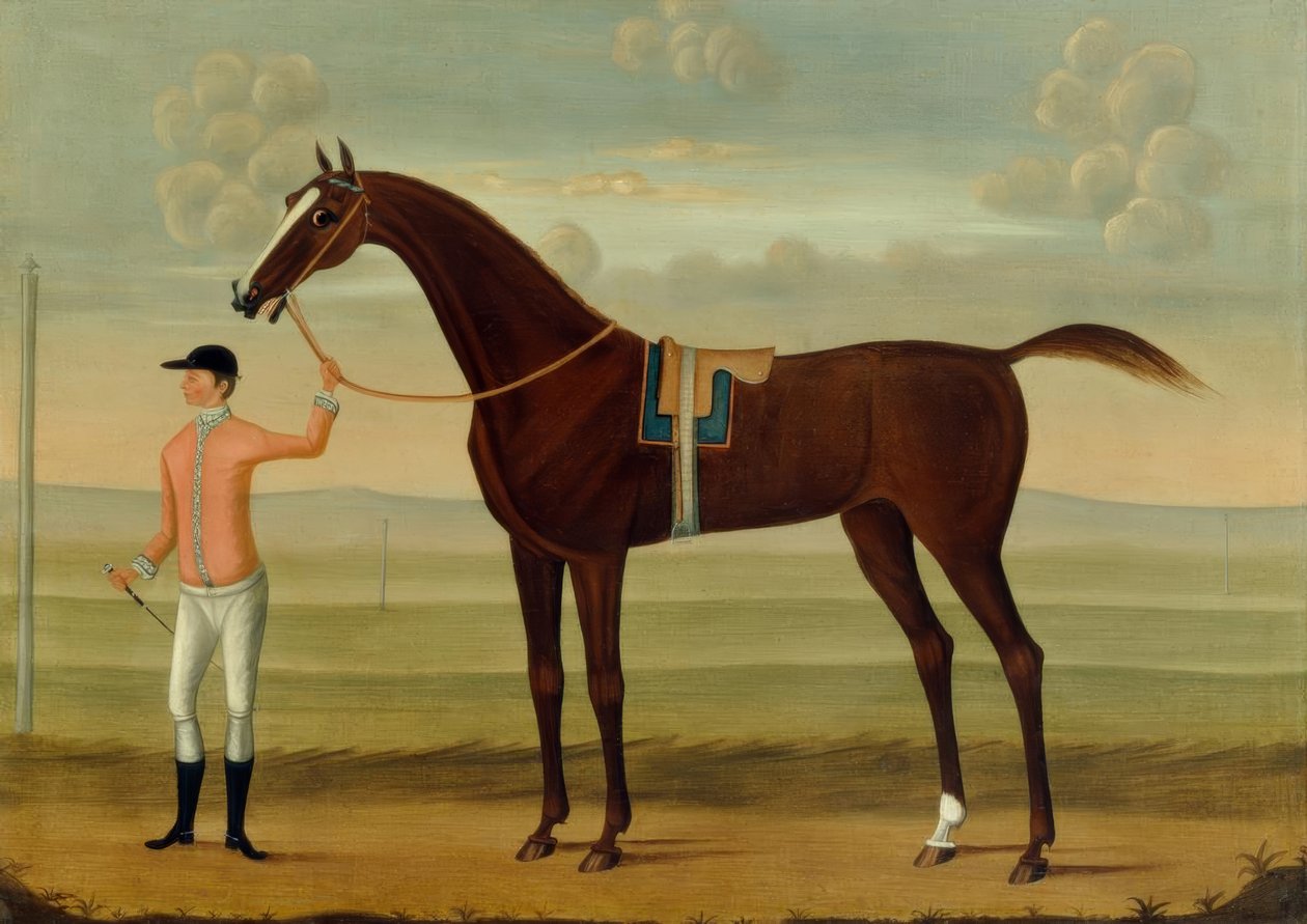 Bay Racehorse ja hänen Jockey on Racecourse tekijältä Daniel Quigley