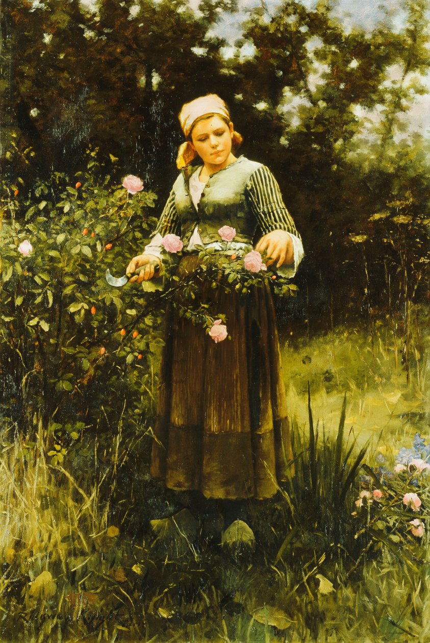 Ruusujen kerääminen, tekijältä Daniel Ridgway Knight
