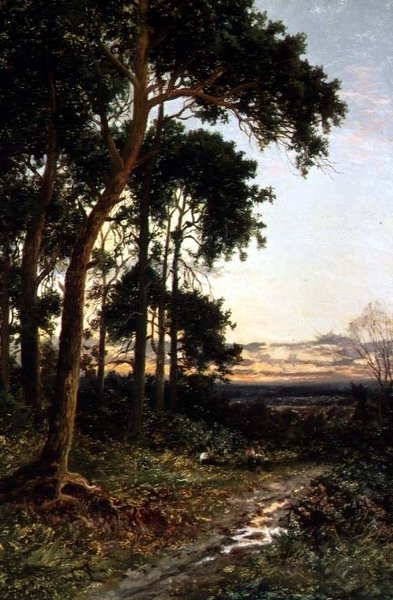 Metsän polku tekijältä Daniel Sherrin