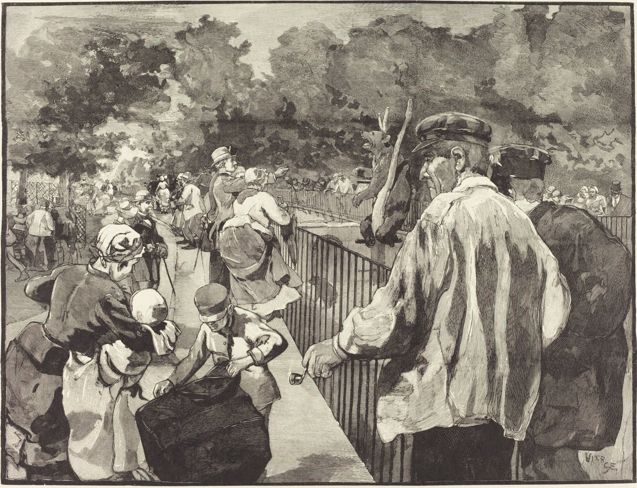 Jardin des Plantesissa tekijältä Daniel Vierge