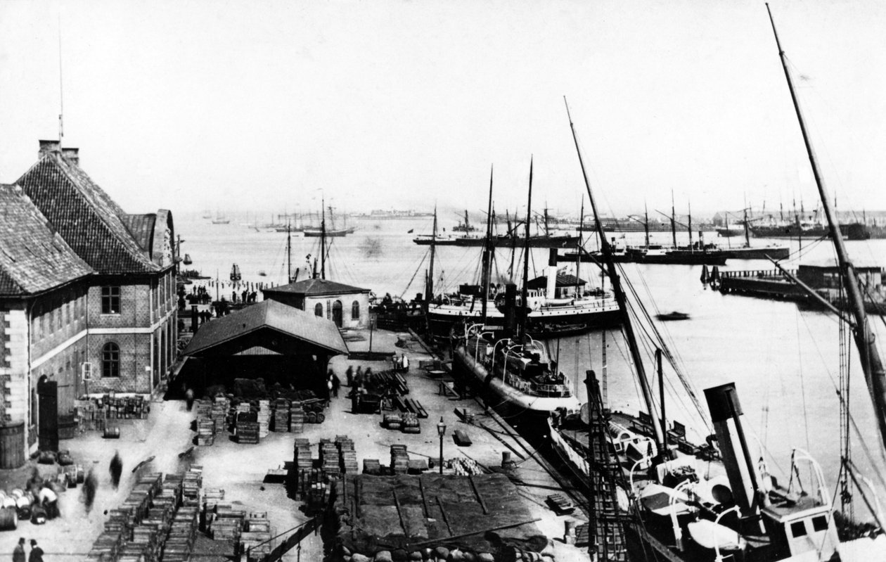 Kööpenhaminan satama, noin 1880 tekijältä Danish Photographer