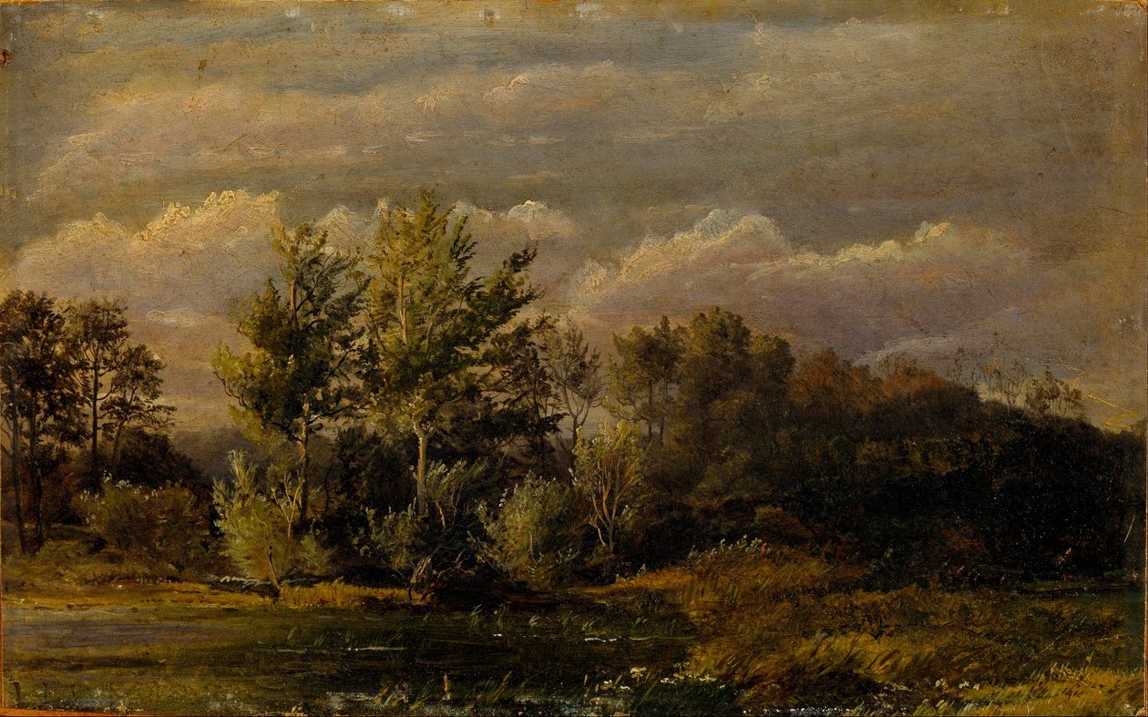 Koivujen ympäröimä metsäjärvi. Tutkimus. tekijältä Dankvart Dreyer