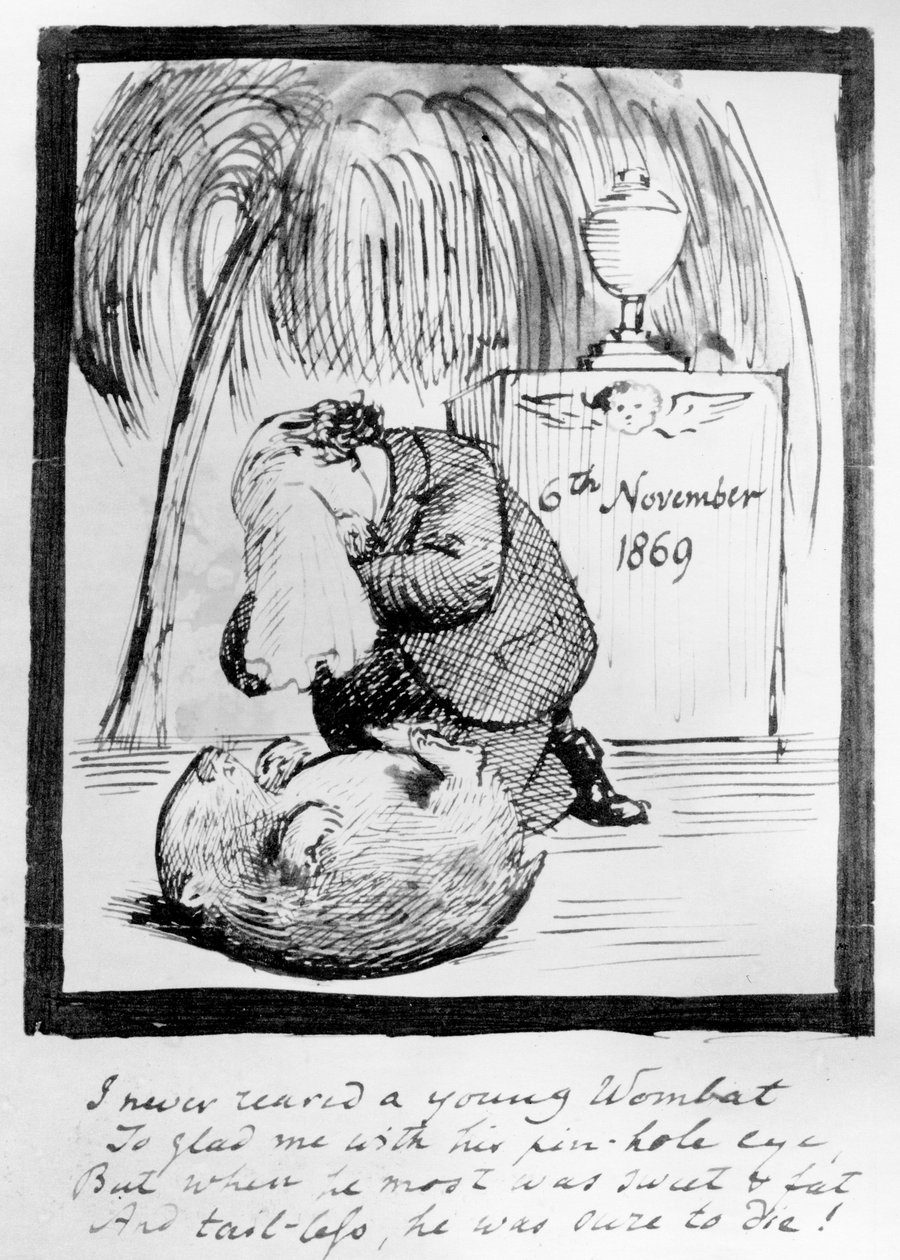 Rossetti valittaa Wombattinsa kuolemaa, 1869 (kynä ja muste paperille) tekijältä Dante Gabriel Charles Rossetti