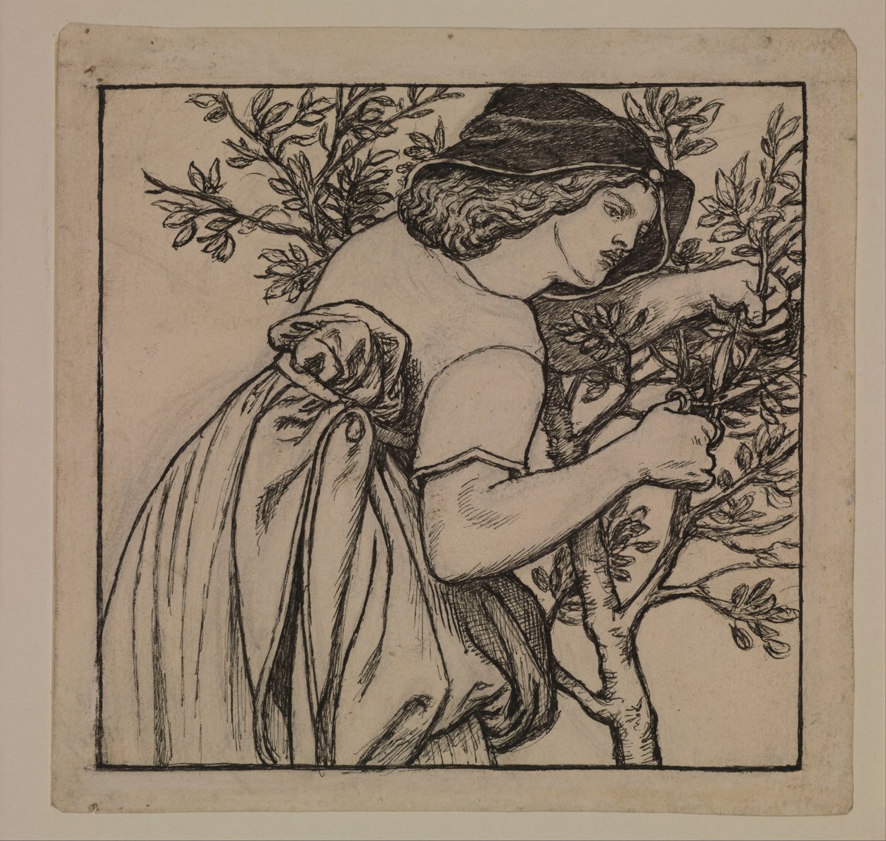 Kuningas Renén häämatka - Puutarhanhoito - Kaapin maalatun paneelin luonnos tekijältä Dante Gabriel Rossetti