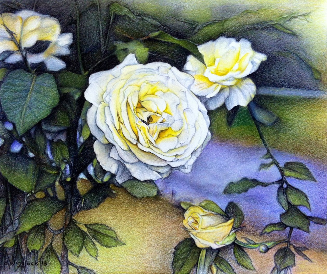 Alberta Roses In Bloom, 2018 (lyijykynä paperille) tekijältä Darrell Windjack