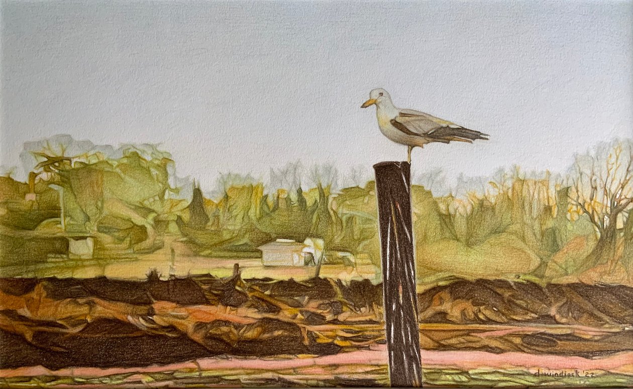 Lone Seagull, 2022 (lyijykynä paperille) tekijältä Darrell Windjack