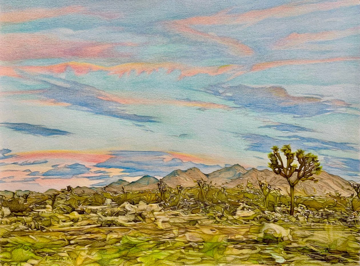 Joshua Tree, 2023 (lyijykynä paperille) tekijältä Darrell Windjack