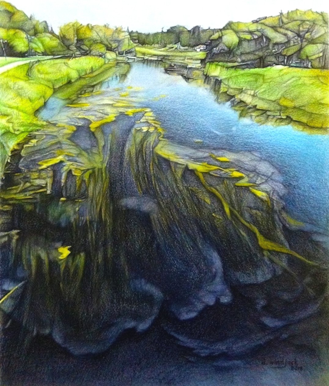 What Lies Beneath, 2018 (lyijykynä, muste paperille) tekijältä Darrell Windjack