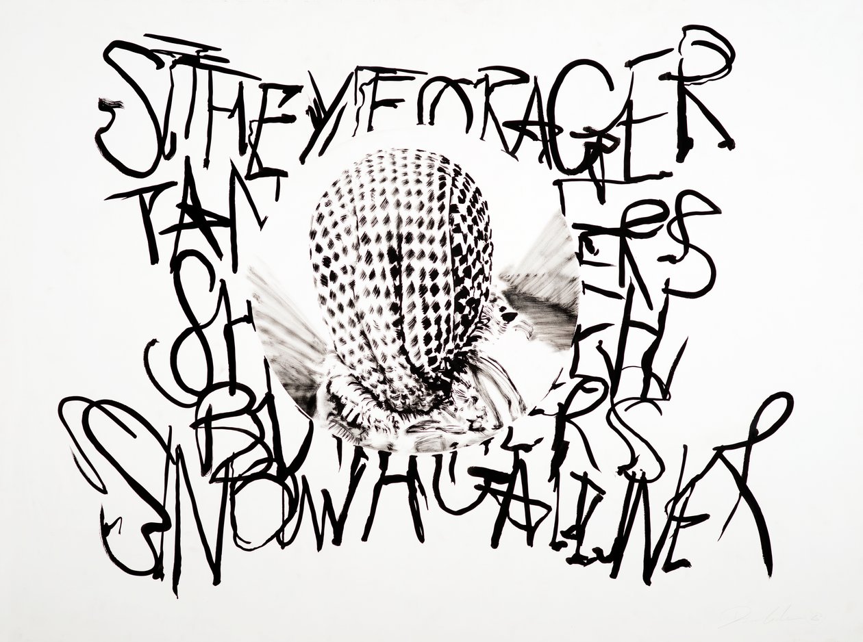 Lansdcape, 2003 (tussi paperille) tekijältä Darren Coffield