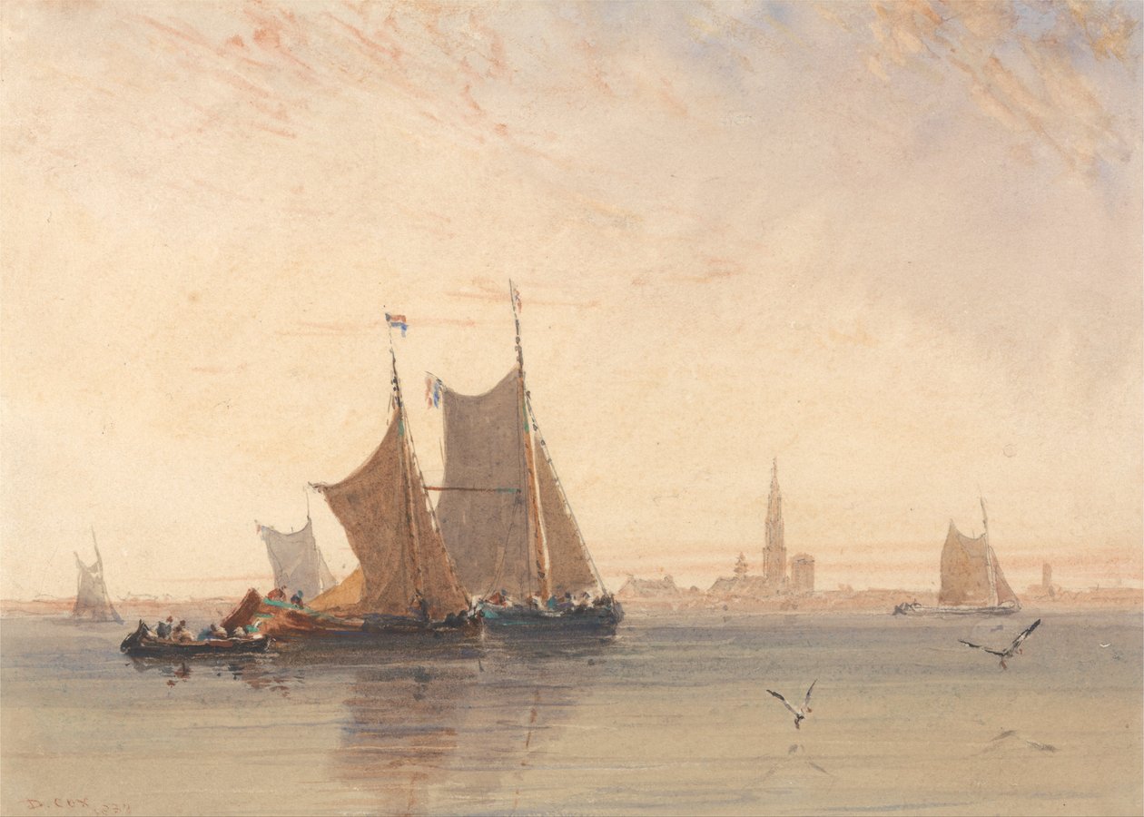 Antwerpen, Huomenta tekijältä David Cox