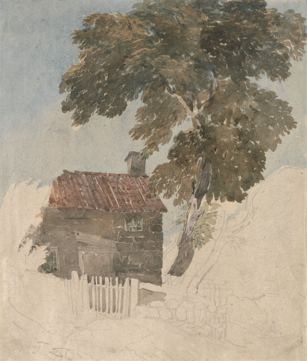 Mökki ja puut tekijältä David Cox
