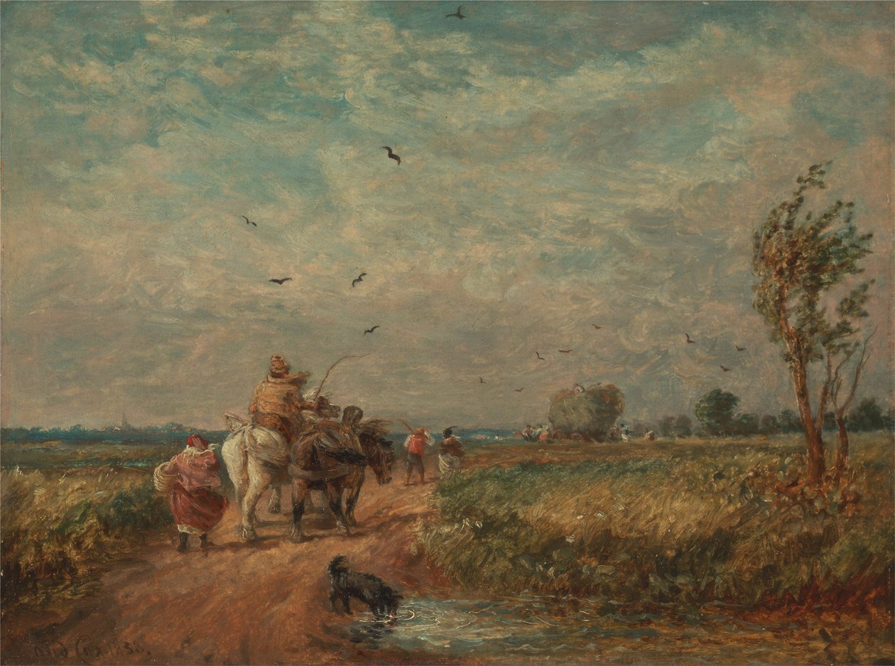 Menossa Hayfieldille tekijältä David Cox