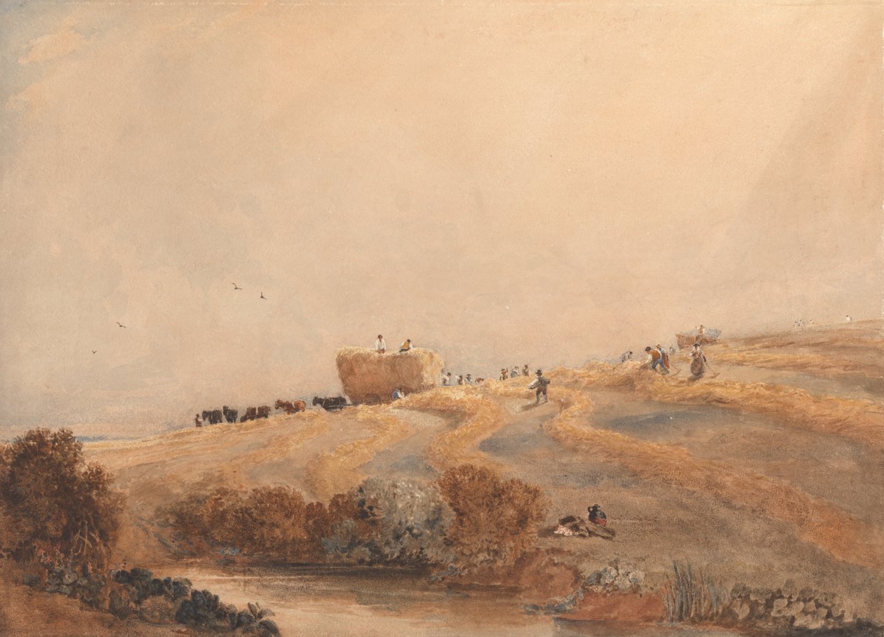 Heinänteko tekijältä David Cox