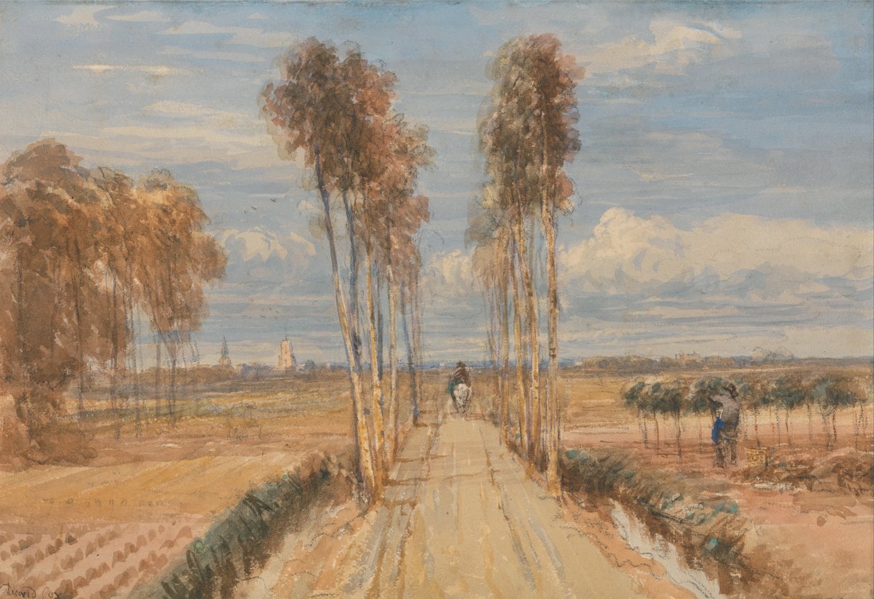 Poplar Avenue, Hobbeman jälkeen tekijältä David Cox