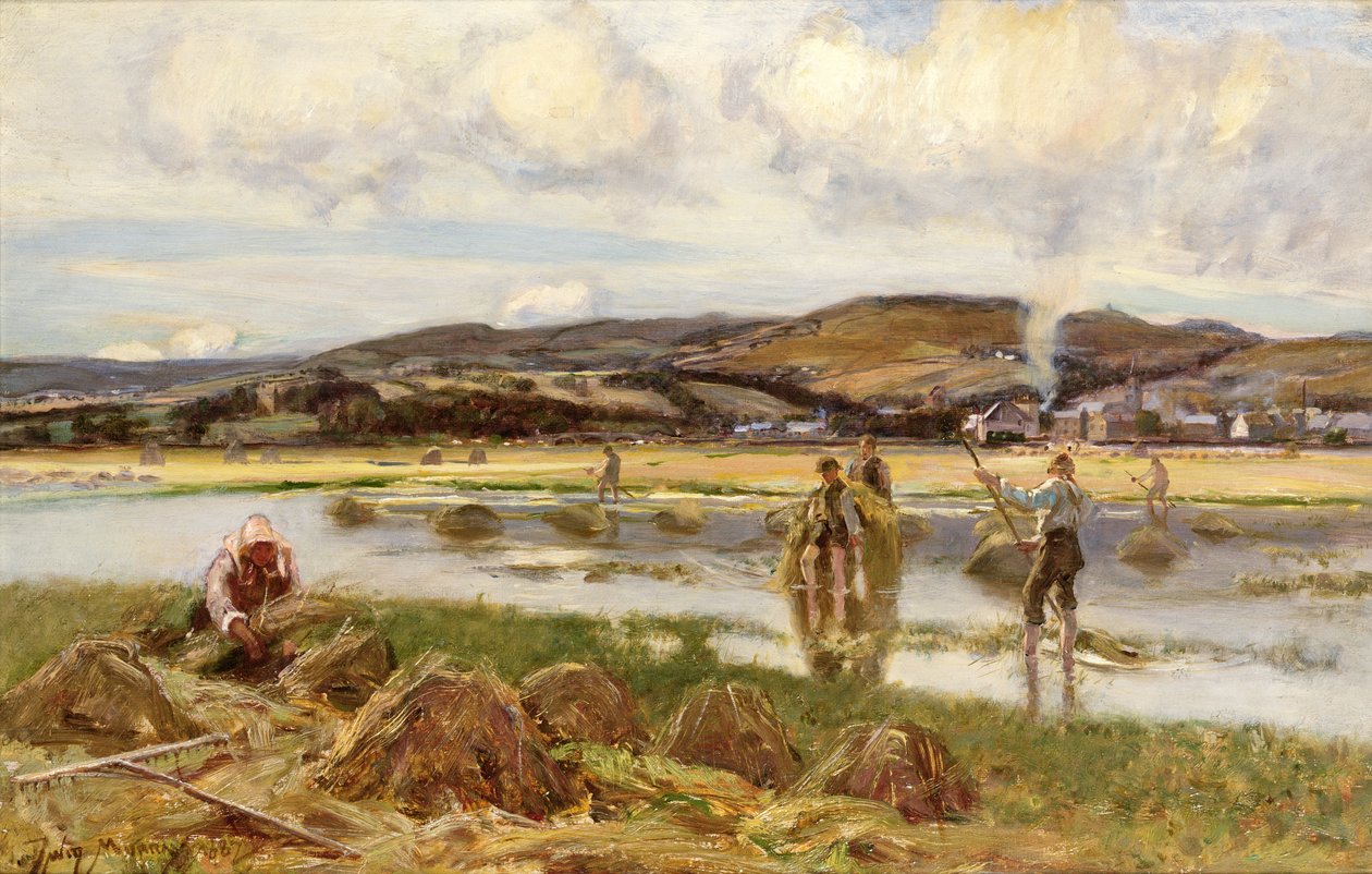 The Reed Gatherers tekijältä David Murray