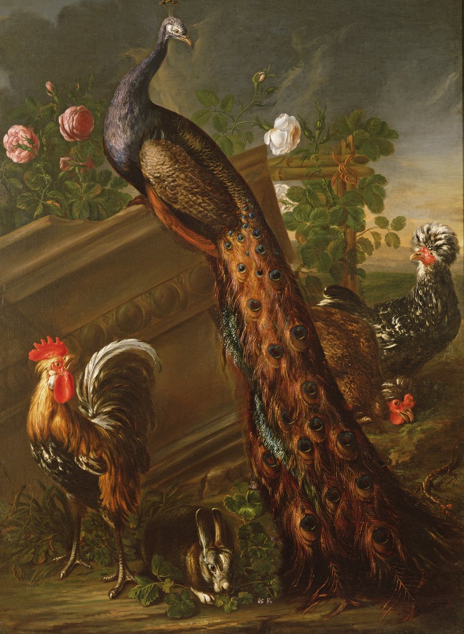 Riikinkukko ja kukkot, 1600-luku tekijältä David de Koninck