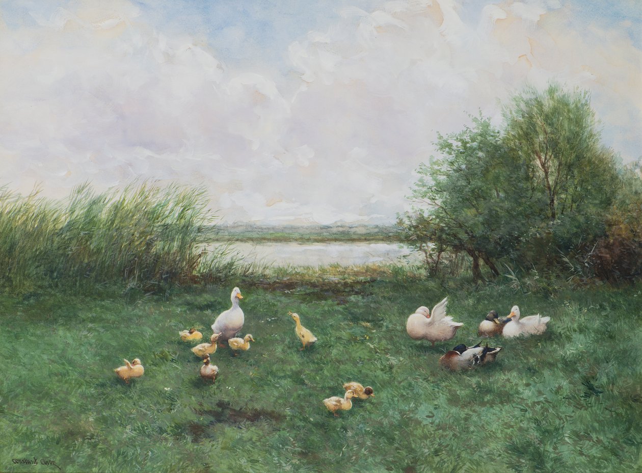 Ankat ja ankanpojat tekijältä David Adolph Constant Artz