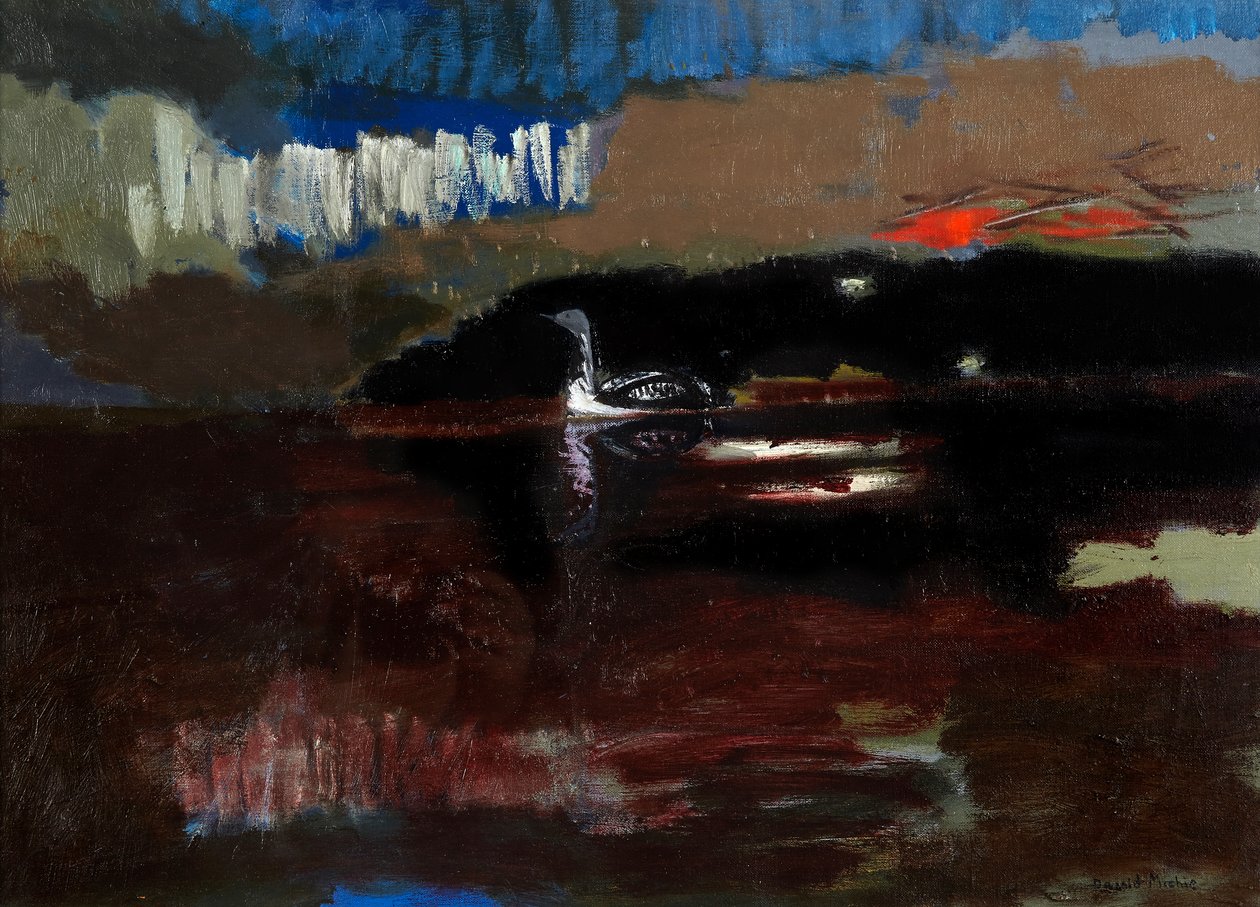 Black-throated Diver, n. 1986 (öljy kankaalle) tekijältä David Alan Redpath Michie