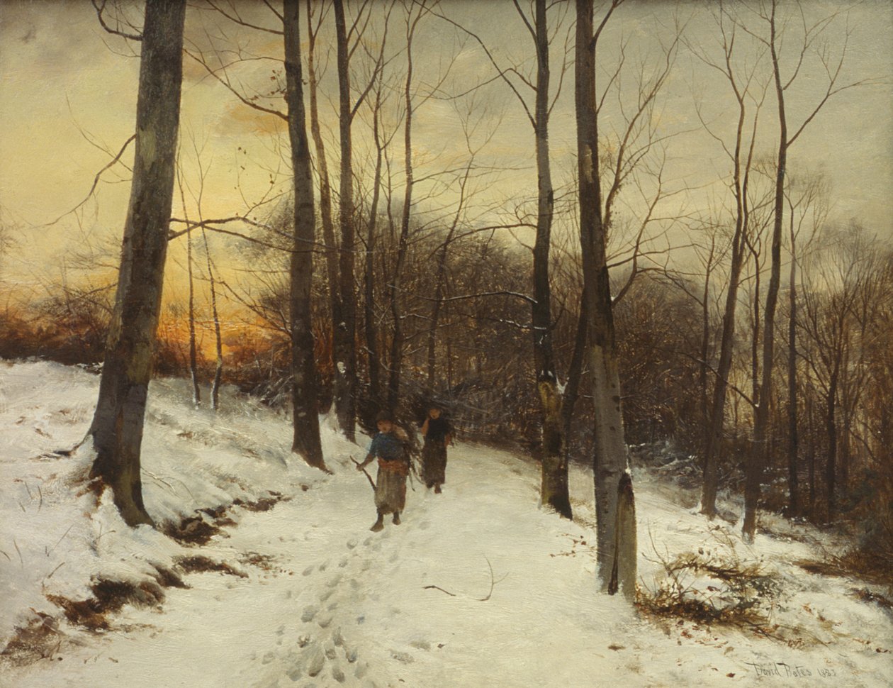 Huonekalut ja erilaiset esineet 1100- ja 1300-luvuilta tekijältä David Bates