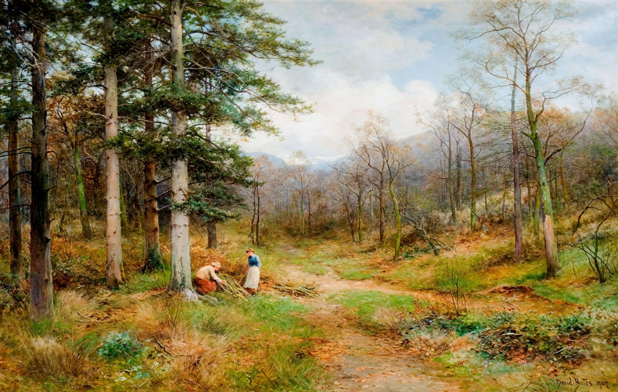 On The Long Mynd, Church Stretton, 1907. tekijältä David Bates