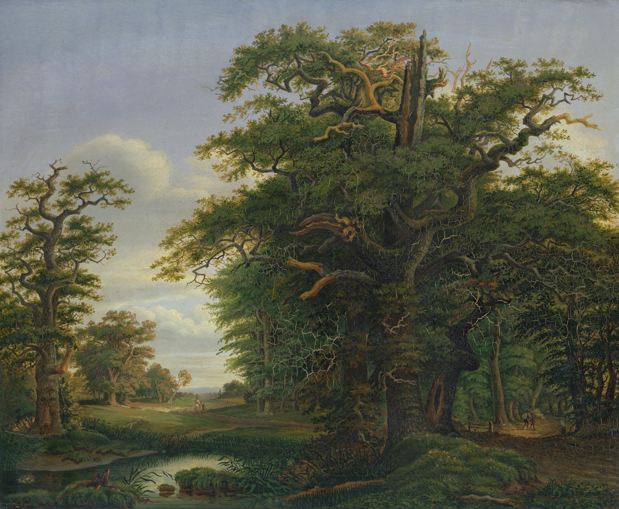 Tammipuu, 1847 tekijältä David Christopher Mettlerkamp