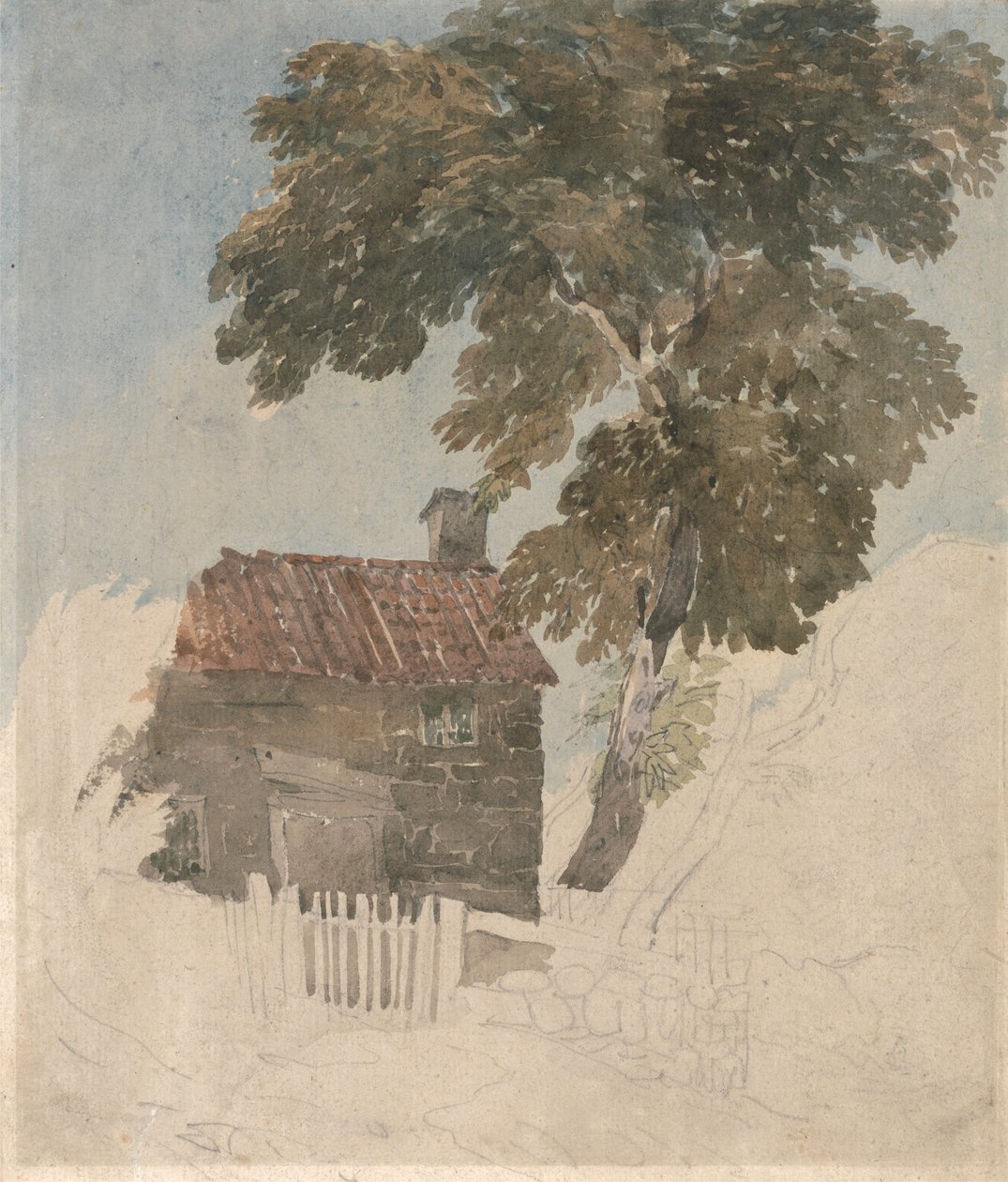 Mökki ja puut tekijältä David Cox