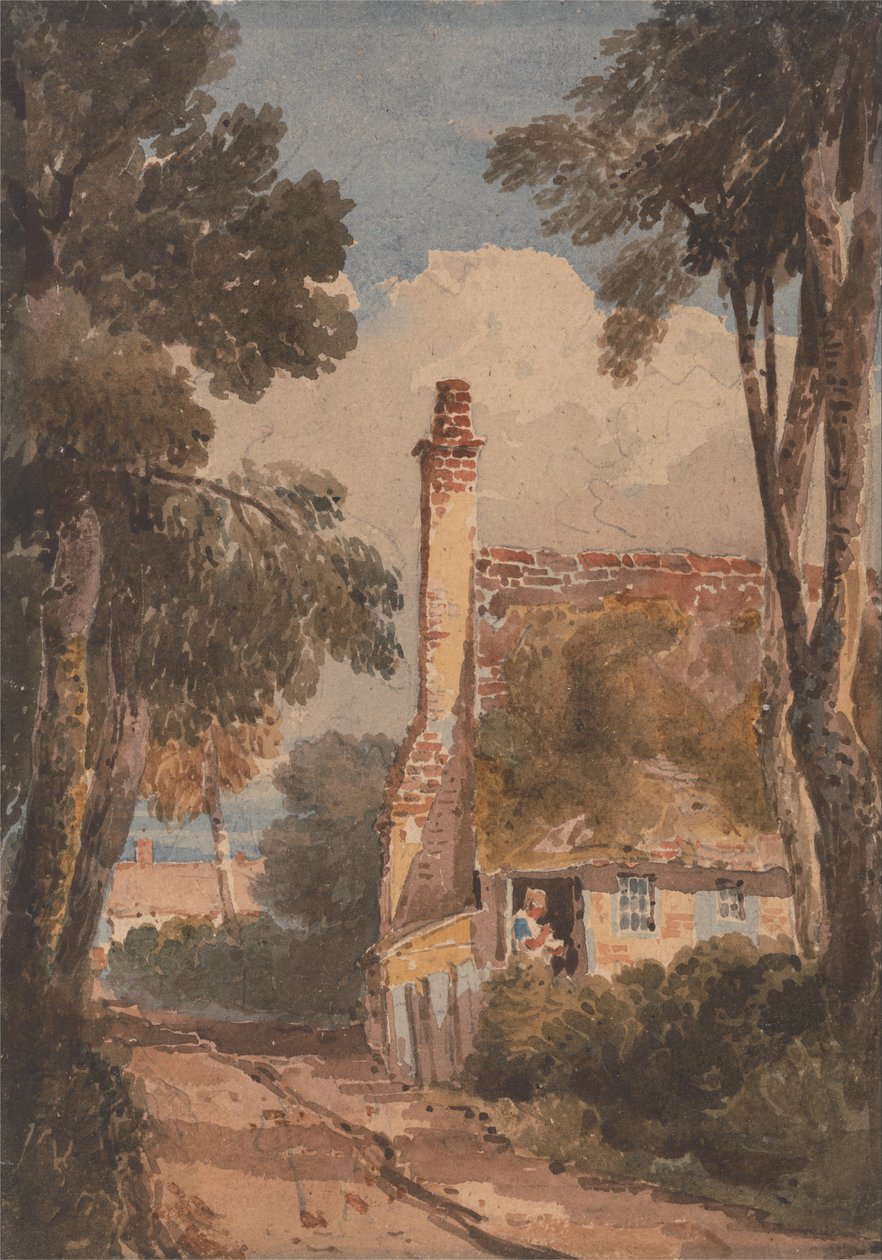 Harborne tekijältä David Cox