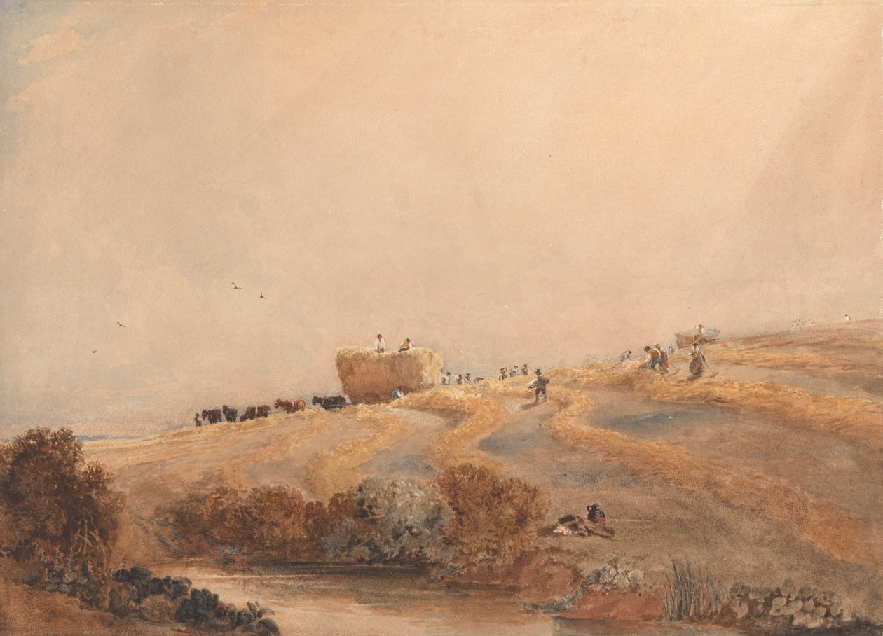 Heinänteko tekijältä David Cox